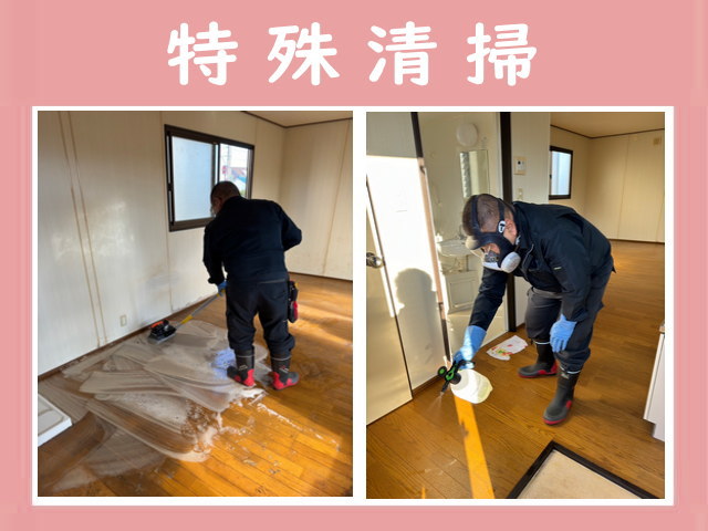 特殊清掃 アイメモリア