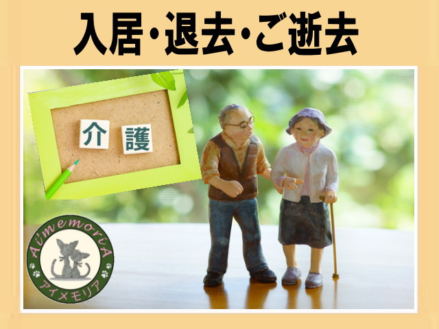 お片付けのプロ！アイメモリア