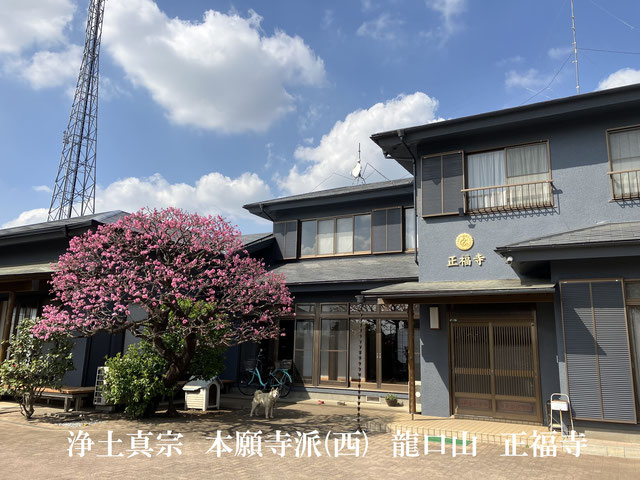 お片付けのプロ！アイメモリア