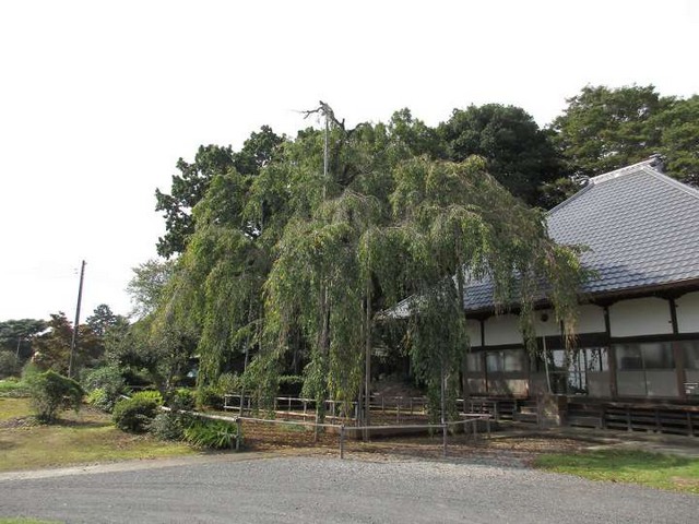 お片付けのプロ！アイメモリア